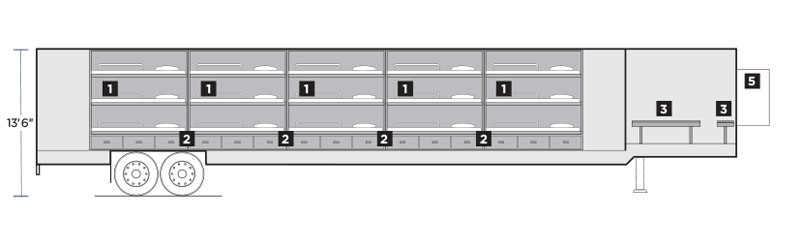 Interior Layout